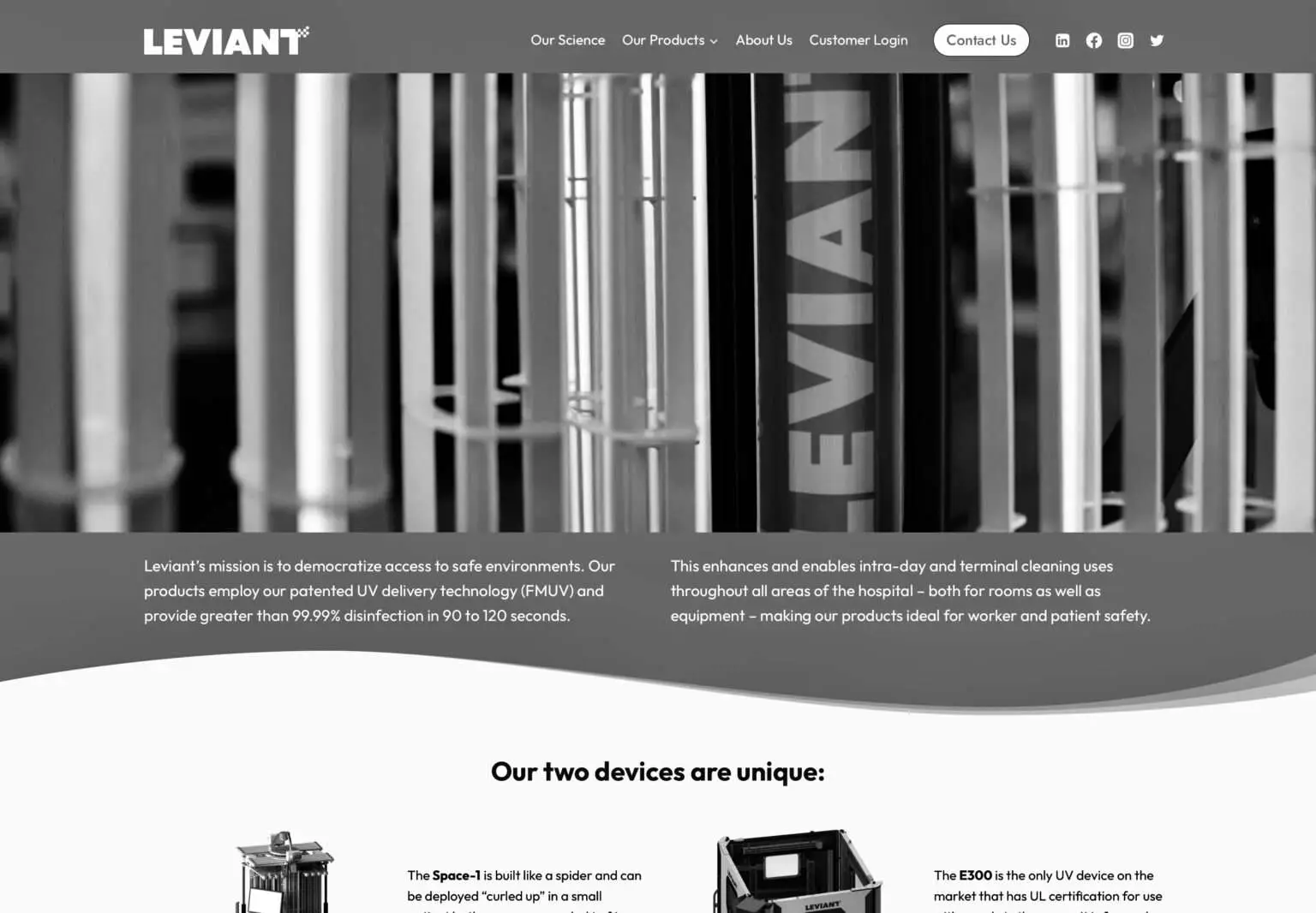 Screenshot of Leviant project